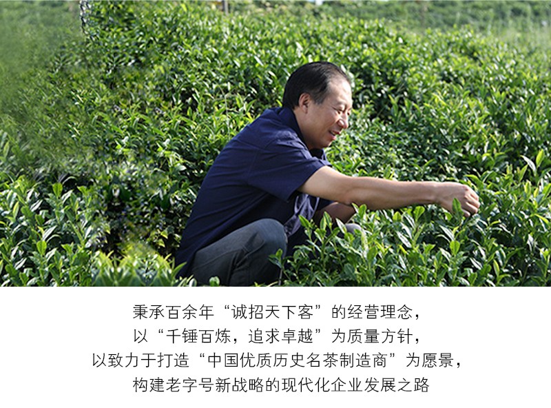覆膜鐵白罐小罐茶應用之謝裕大