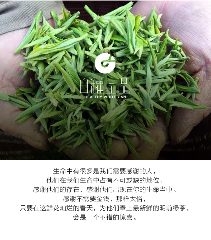 覆膜鐵白罐小罐茶應用之謝裕大