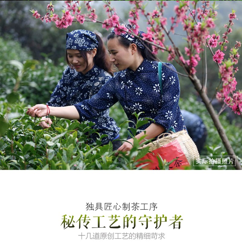 覆膜鐵白罐小罐茶應用之謝裕大